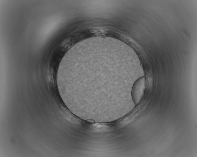 X0000111220477200907301229
