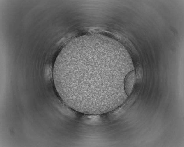 X0000111220478200907301229