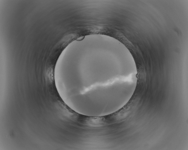 X0000111220479200907301229