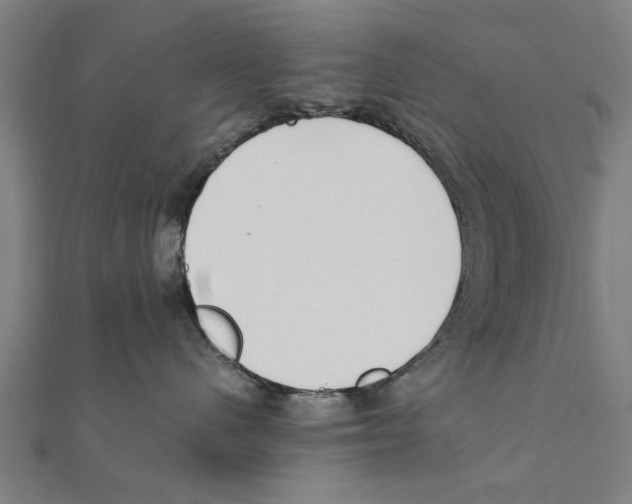 X0000111220480200907301229
