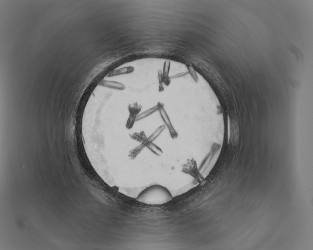 X0000111220483200907301229