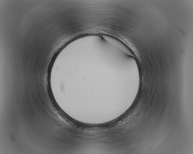 X0000111220485200907301229