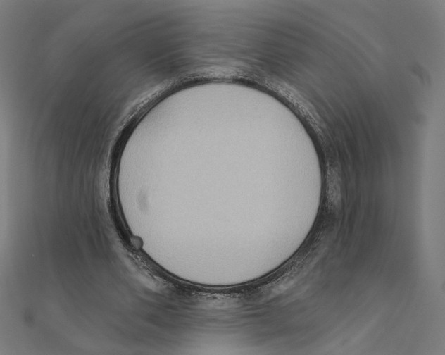 X0000111220486200907301229