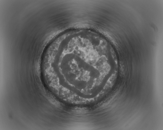X0000111220487200907301229