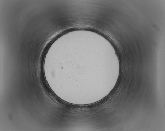 X0000111220488200907301229