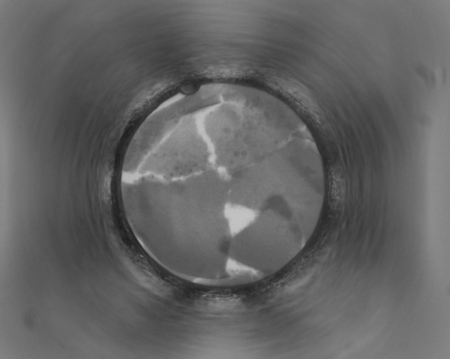 X0000111220491200907301229
