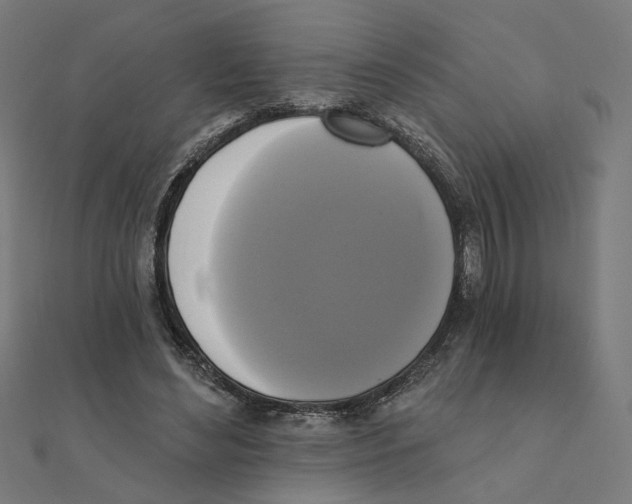 X0000111220492200907301229