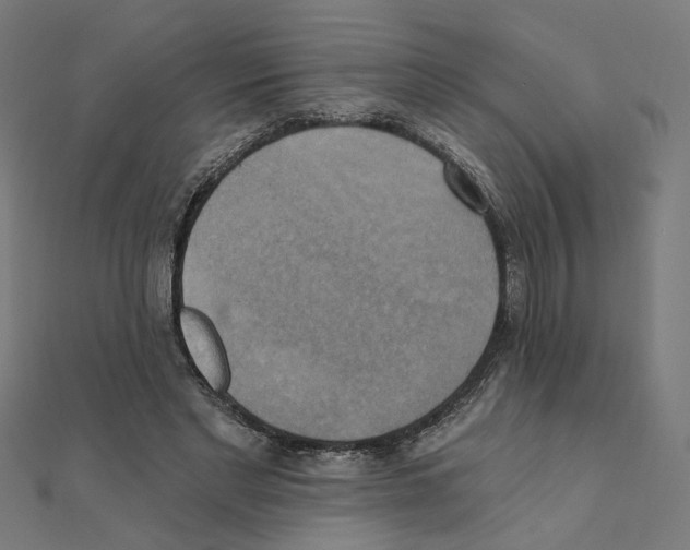 X0000111220493200907301229
