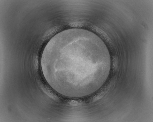X0000111220494200907301228