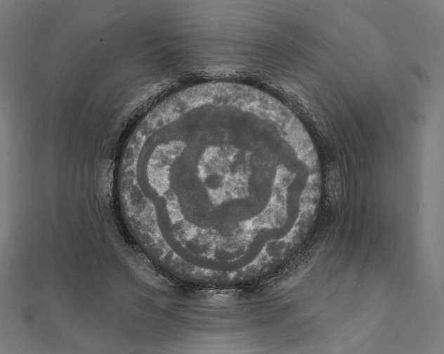 X0000111220495200907301228