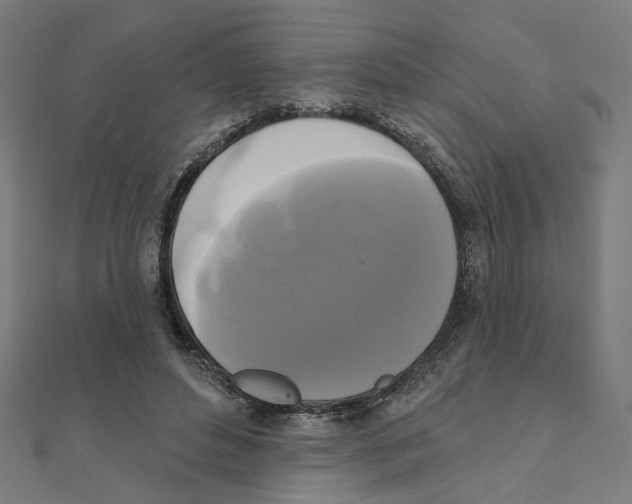 X0000111220496200907301228