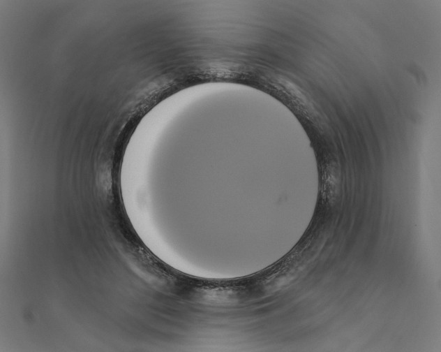 X0000111220500200907301228
