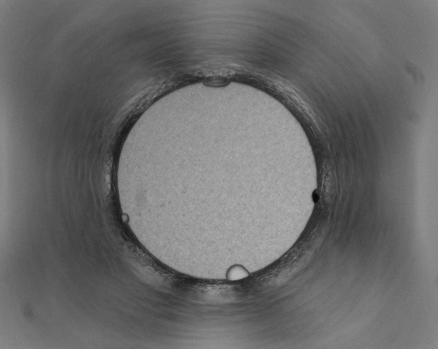 X0000111220501200907301228