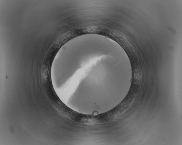 X0000111220503200907301228