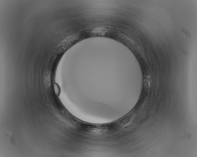 X0000111220504200907301228