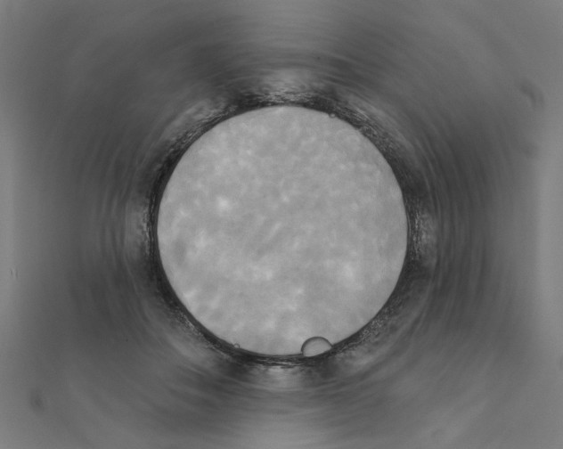 X0000111220506200907301228