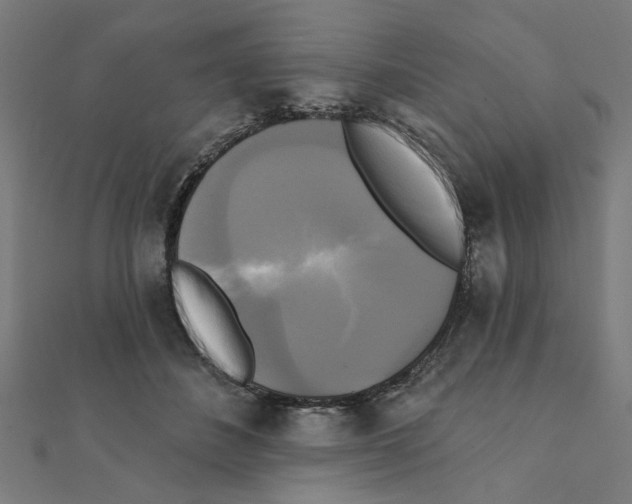 X0000111220508200907301228