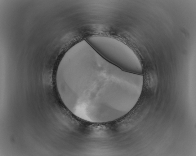 X0000111220512200907301228