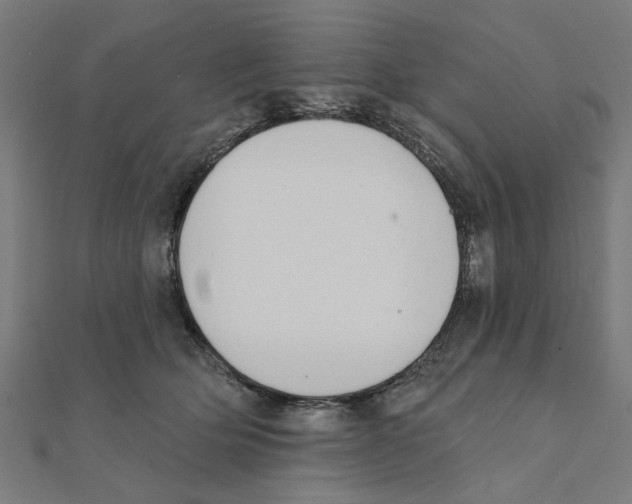 X0000111220514200907301228