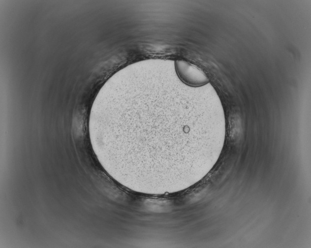 X0000111220515200907301228