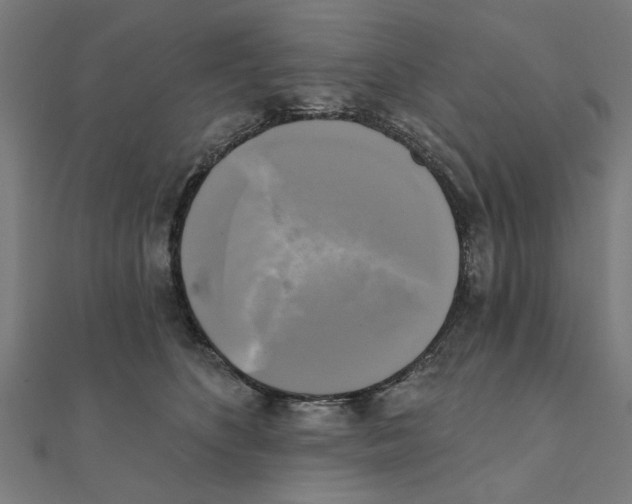 X0000111220516200907301228