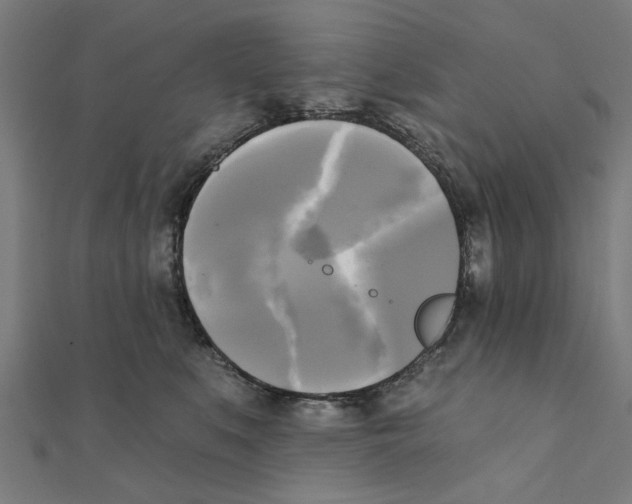X0000111220519200907301228