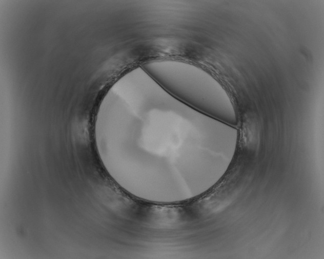 X0000111220520200907301228