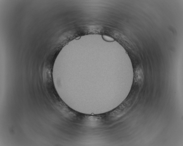 X0000111220522200907301228
