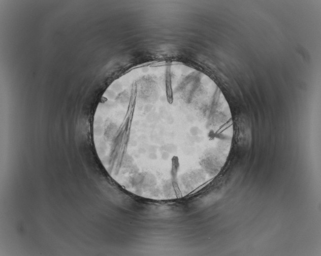 X0000111220523200907301228