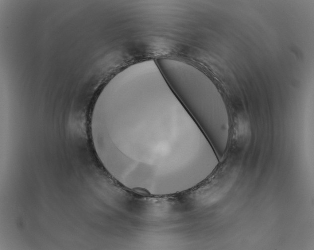 X0000111220524200907301228