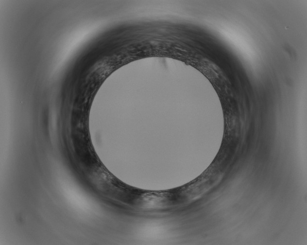 X0000111220526200907301228