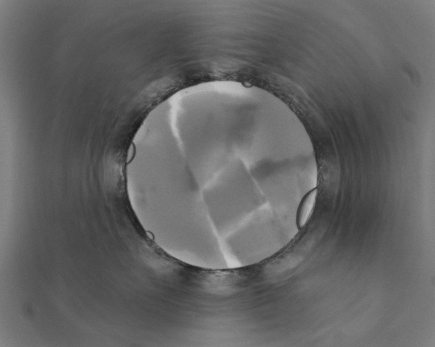 X0000111220527200907301228