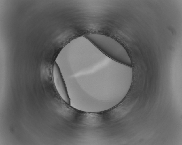 X0000111220528200907301228