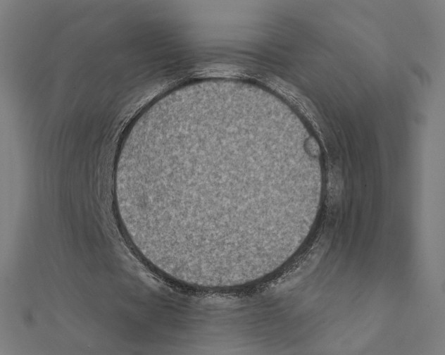 X0000111220529200907301227