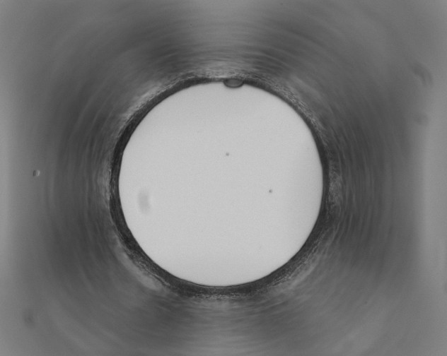 X0000111220530200907301227