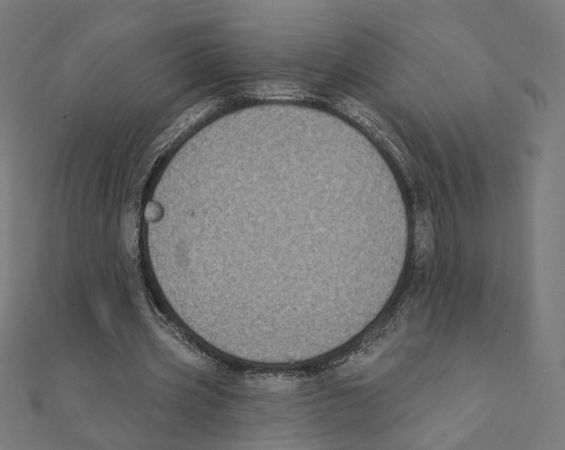 X0000111220533200907301227