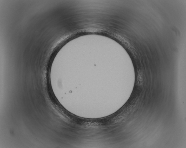 X0000111220535200907301228