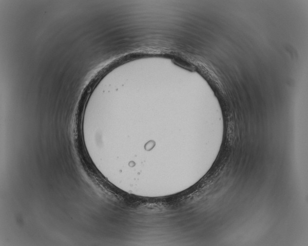 X0000111220536200907301228