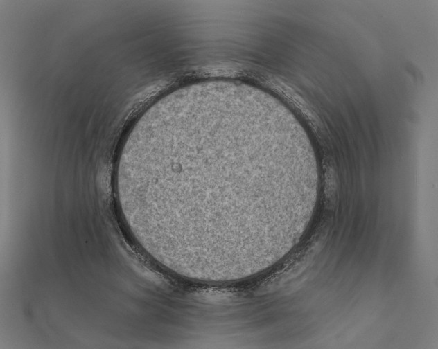 X0000111220537200907301228