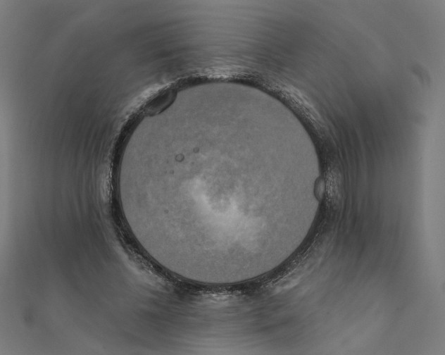 X0000111220540200907301228