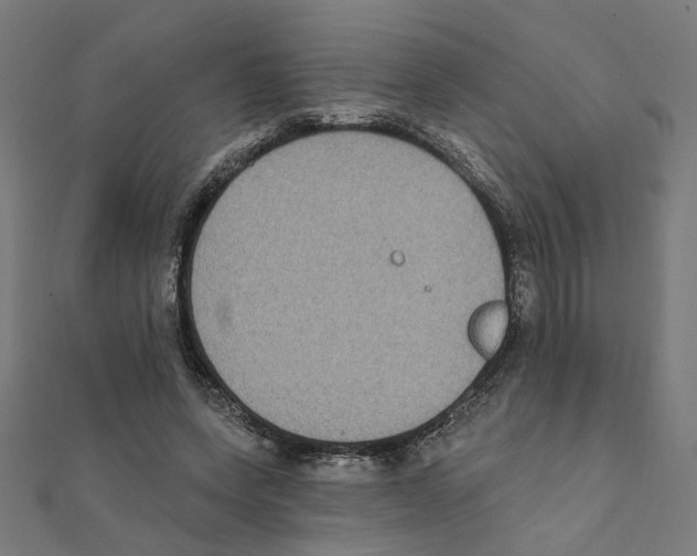 X0000111220543200907301228
