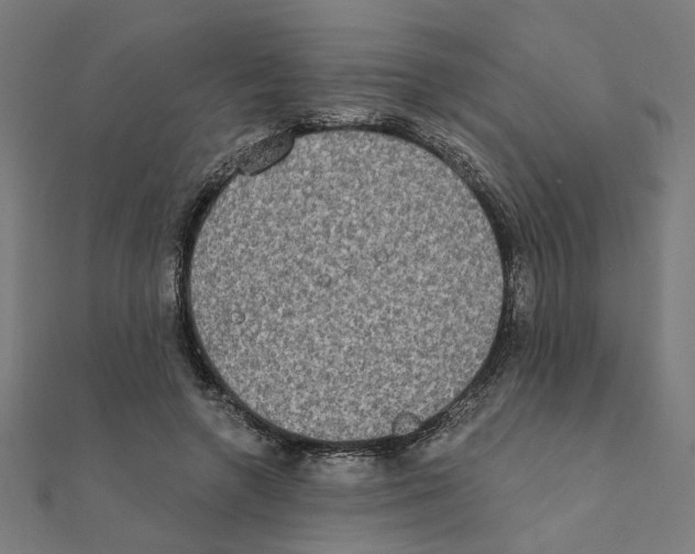 X0000111220546200907301228