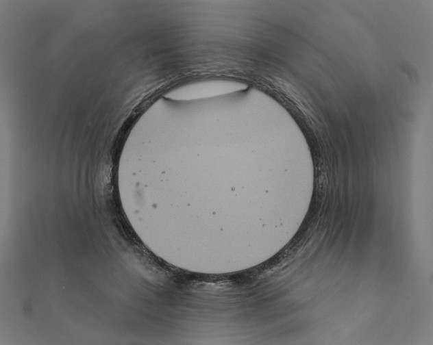 X0000111220548200907301228