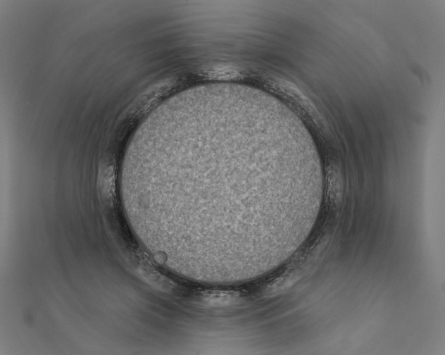 X0000111220549200907301228
