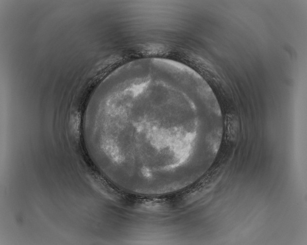 X0000111220550200907301228