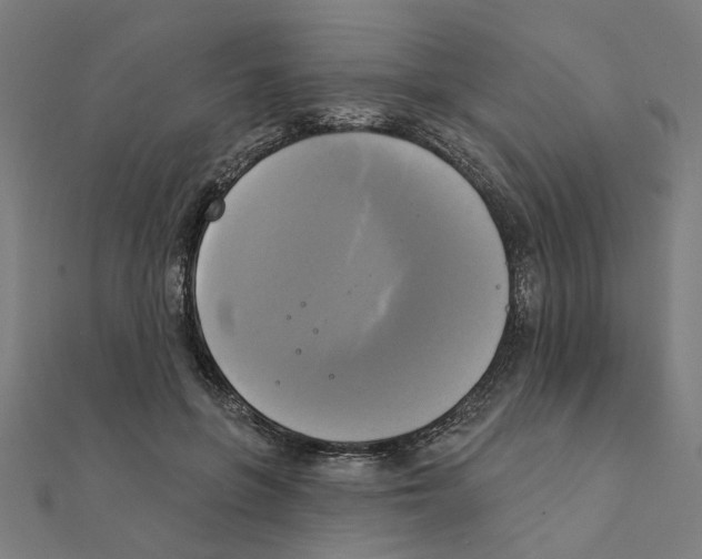 X0000111220551200907301228