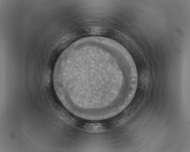 X0000111220554200907301228