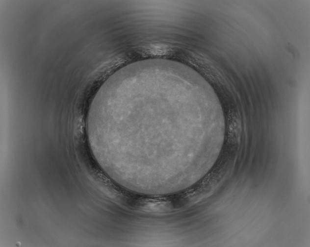 X0000111220555200907301228