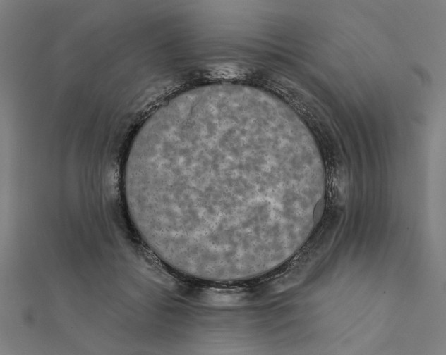 X0000111220556200907301228