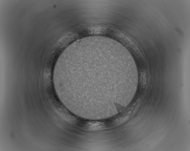 X0000111220557200907301228